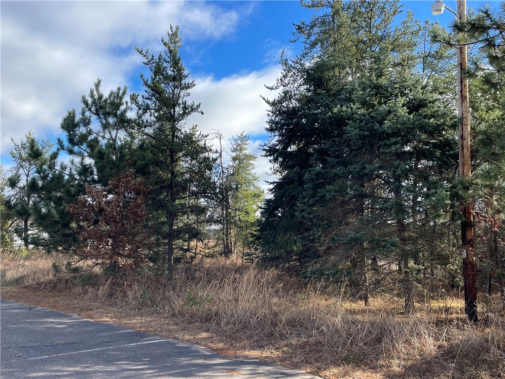 Lot 2 Ranch Road Property Photo 3