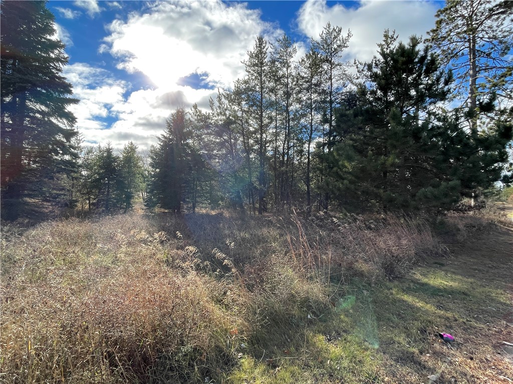 Lot 2 Ranch Road Property Photo 4