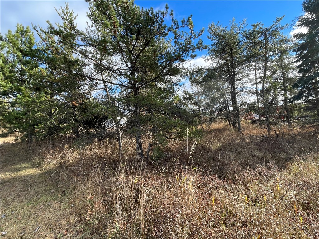 Lot 2 Ranch Road Property Photo 5