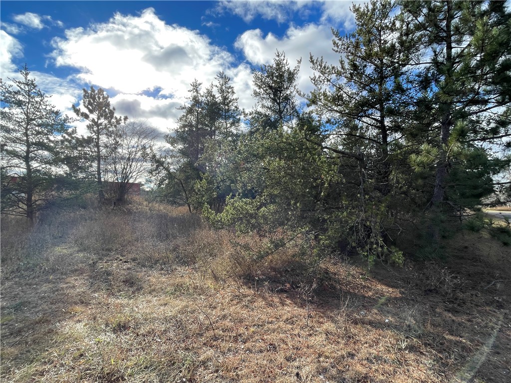 Lot 2 Ranch Road Property Photo 6