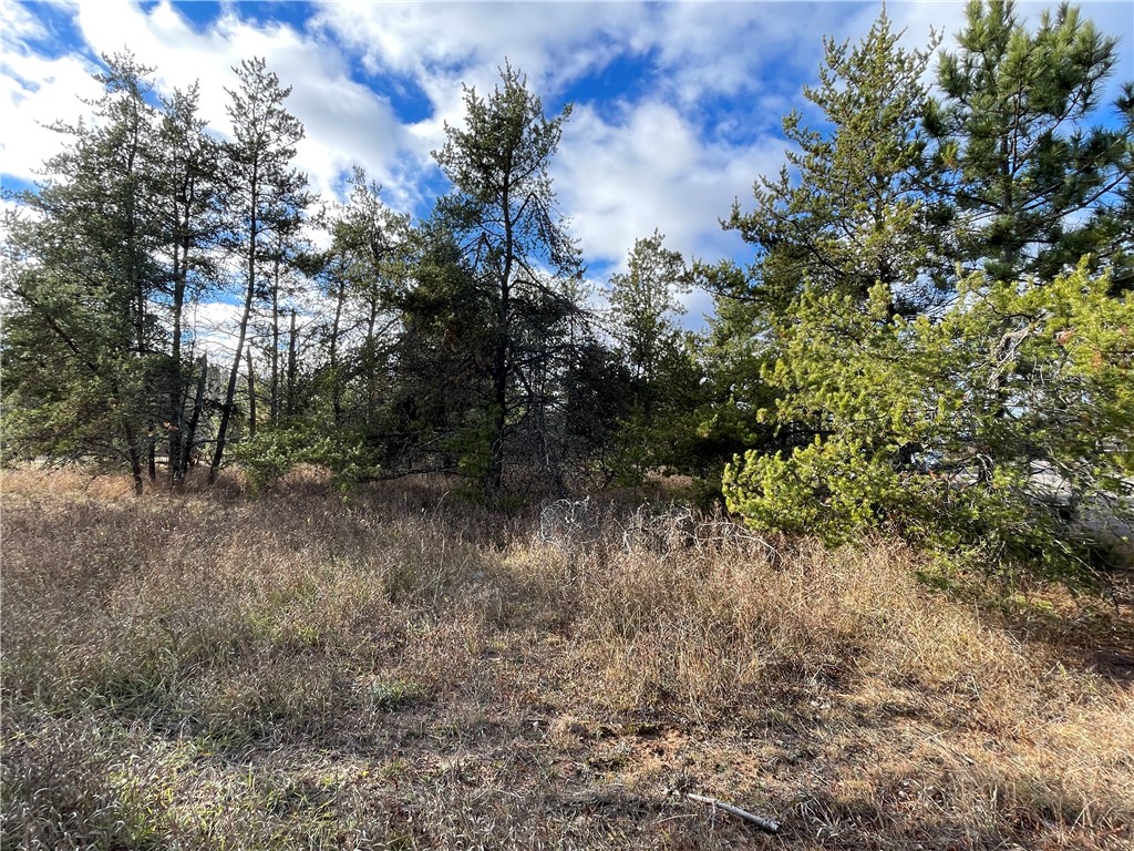 Lot 2 Ranch Road Property Photo 7