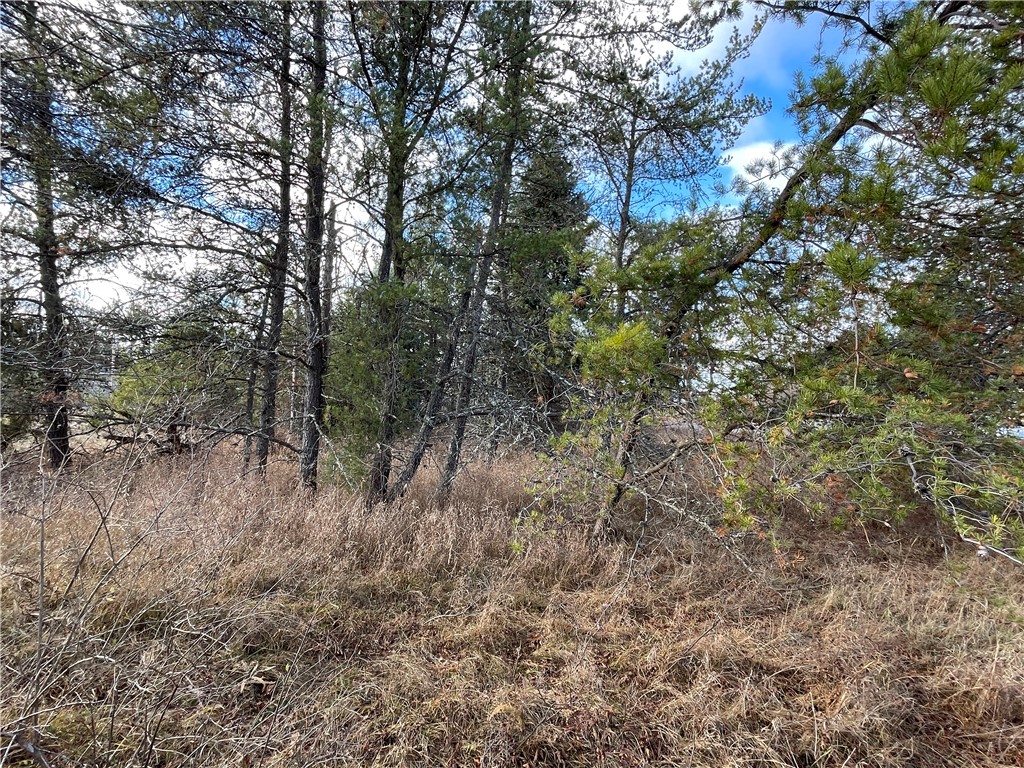 Lot 2 Ranch Road Property Photo 9