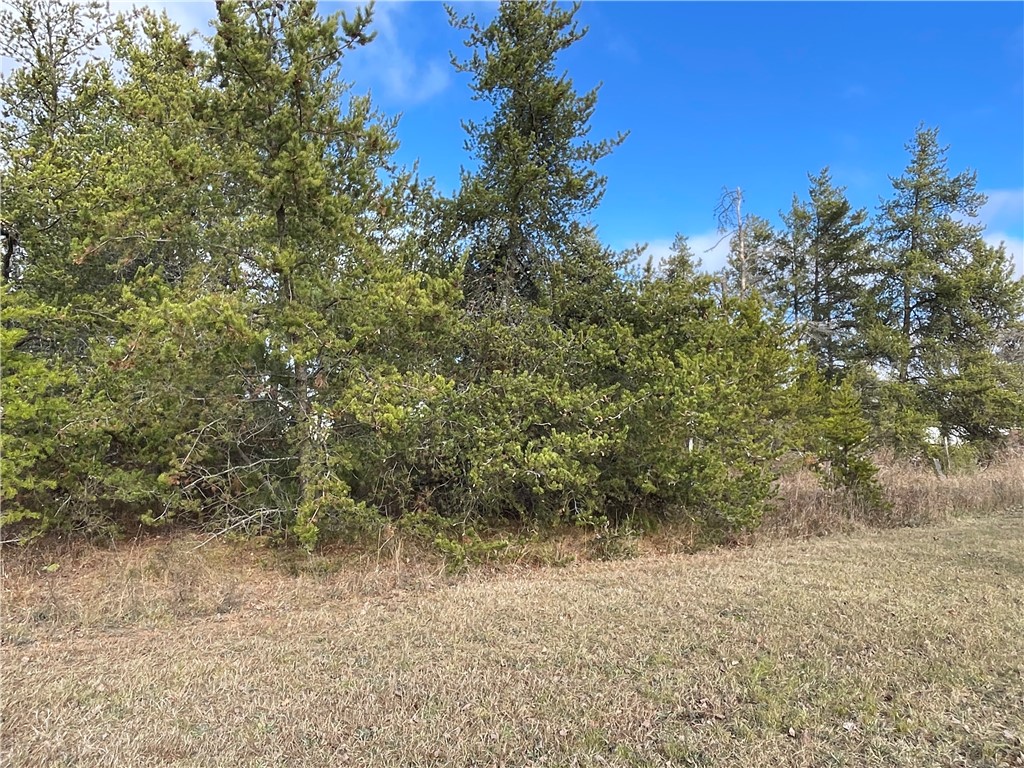 Lot 2 Ranch Road Property Photo 10