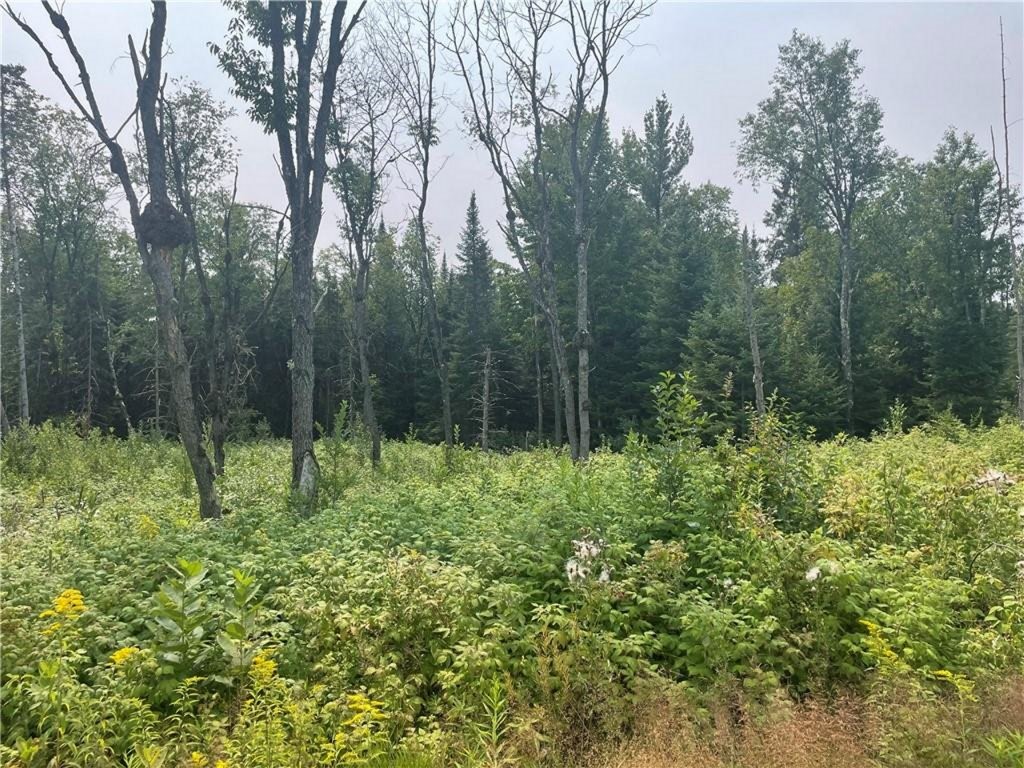 6+/- Acres On Old 13 Road Property Photo
