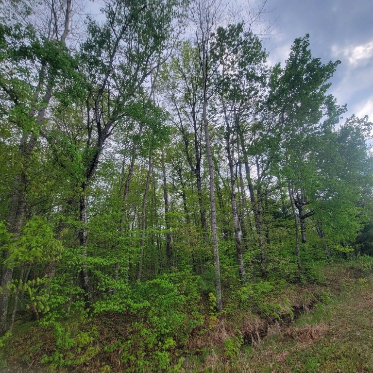 Lot 10 County Road A Property Photo 1