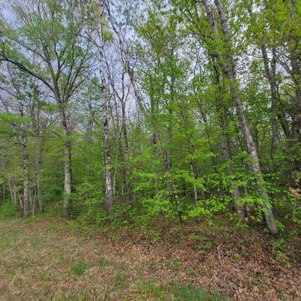 Lot 10 County Road A Property Photo 5