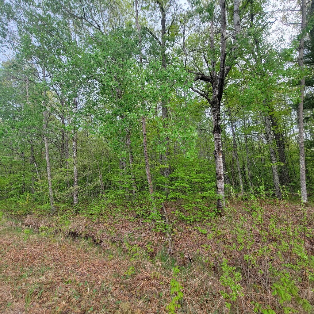 Lot 10 County Road A Property Photo 6