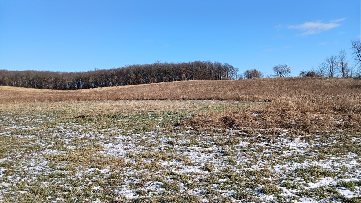 62 Acres 82nd Street Property Photo 1