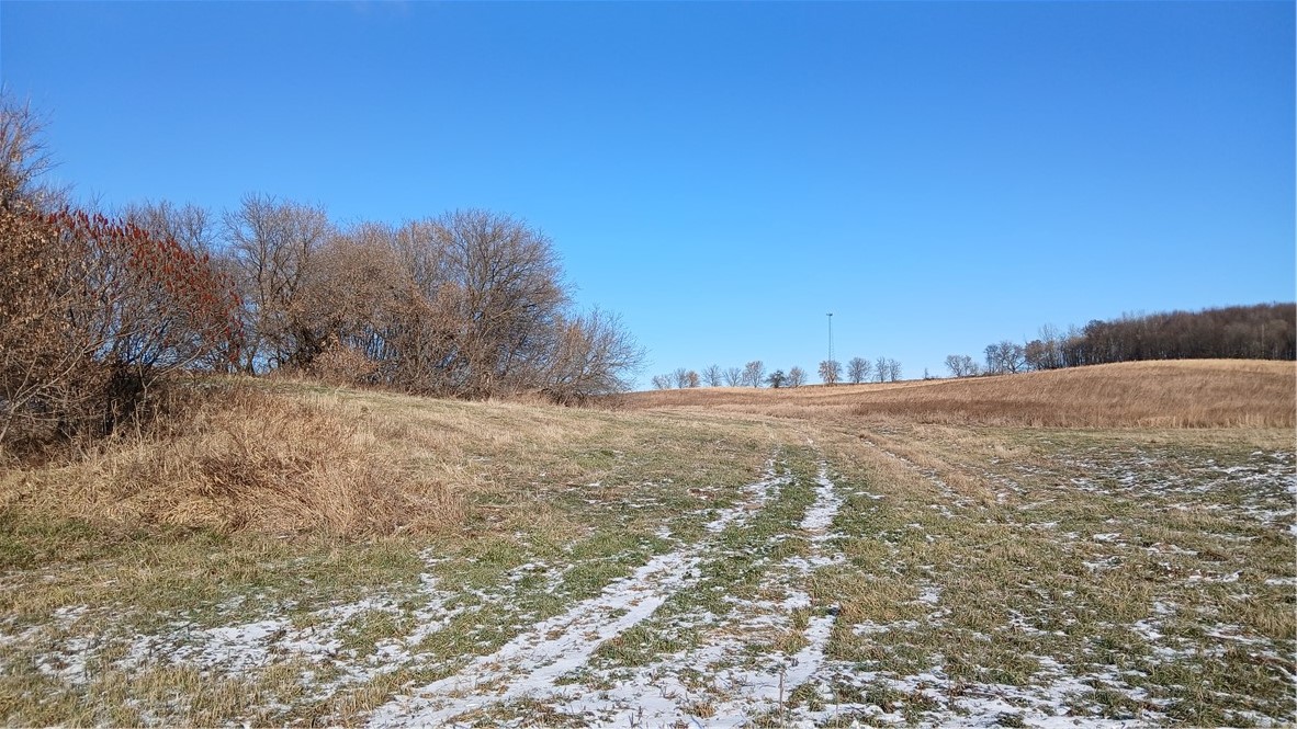 62 Acres 82nd Street Property Photo 2