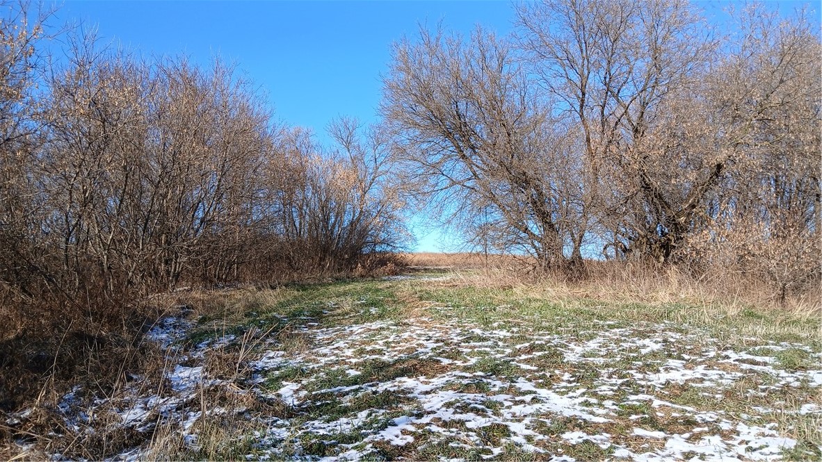 62 Acres 82nd Street Property Photo 3