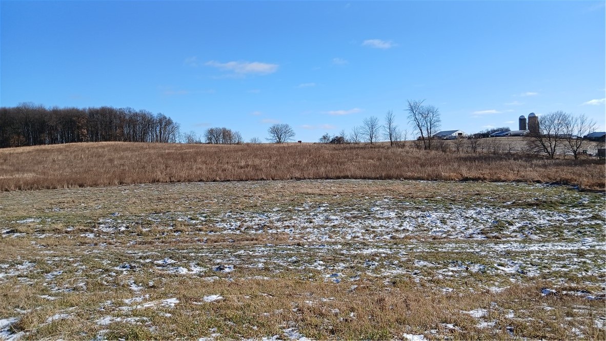 62 Acres 82nd Street Property Photo 4