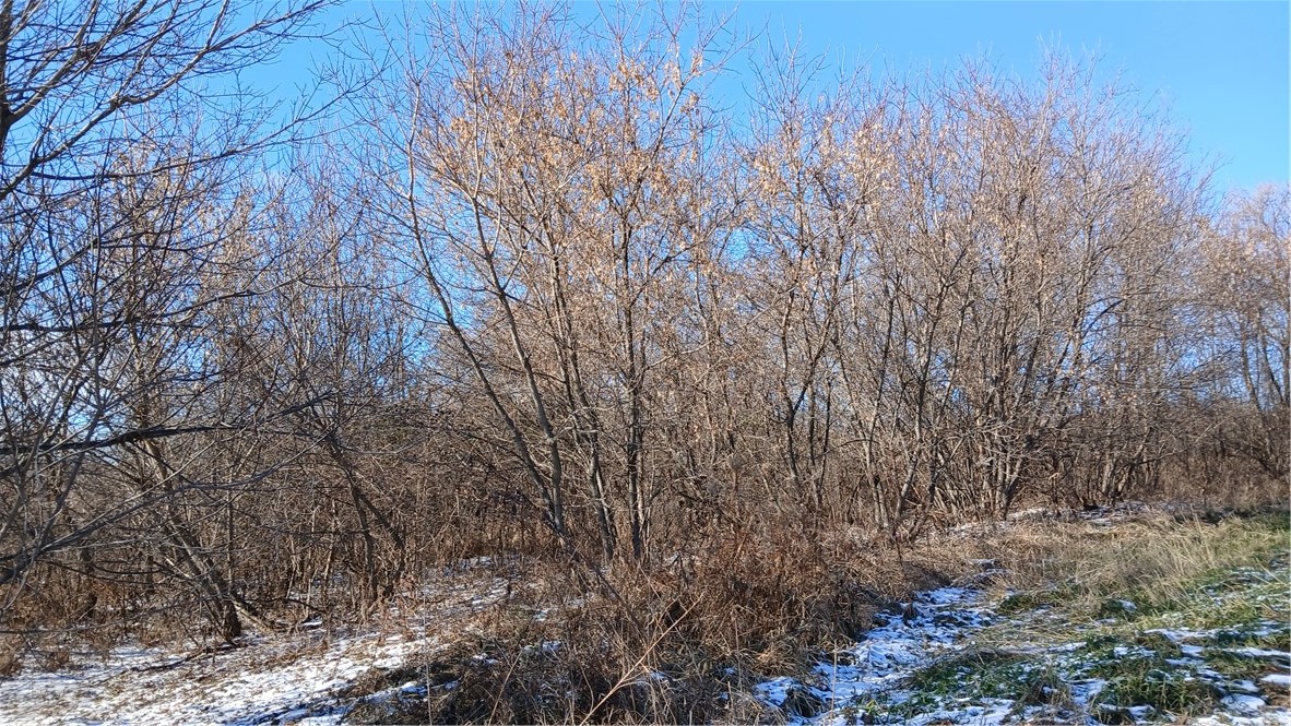 62 Acres 82nd Street Property Photo 5