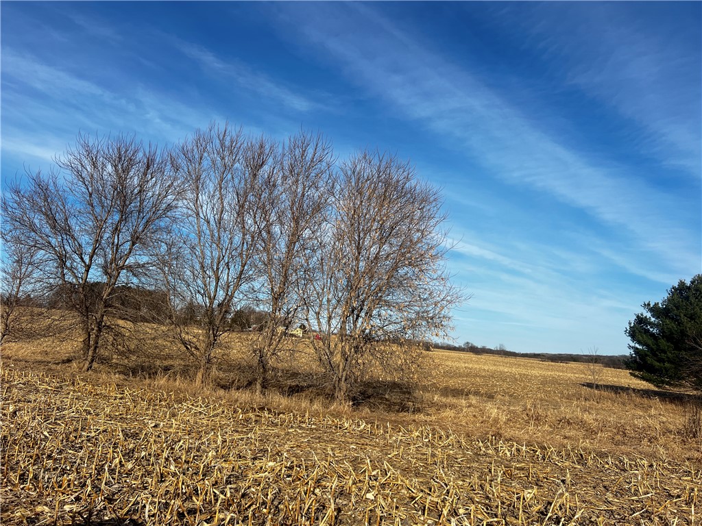 Lot 4 105th Street Property Photo
