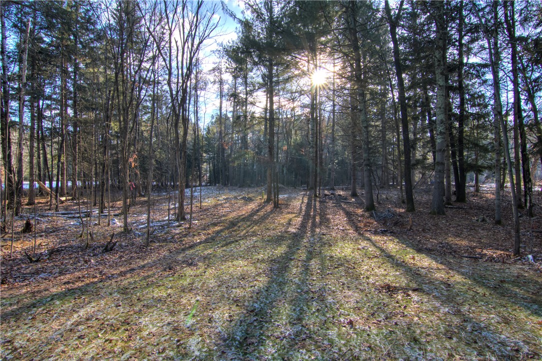 11549 Haggberg Road Property Photo 33
