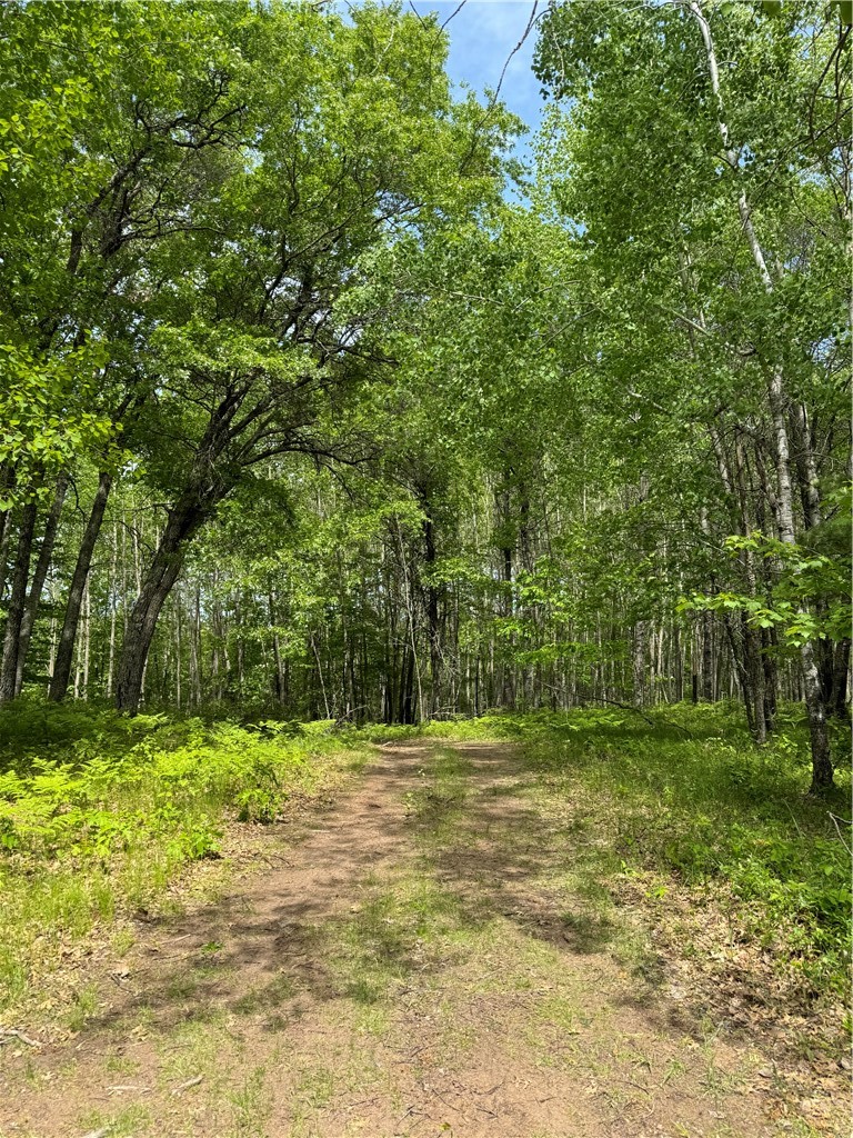 Lot 141 Eagle Drive Property Photo 14