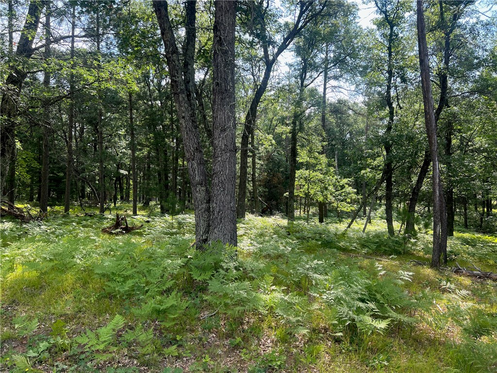 Lot 13 Honey Tree Road Property Photo 14