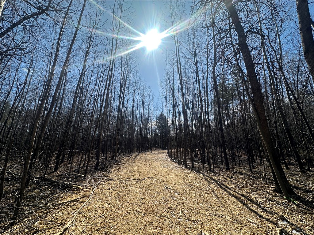 Lot 9, 2.21+/- Acres 295th Avenue Property Photo