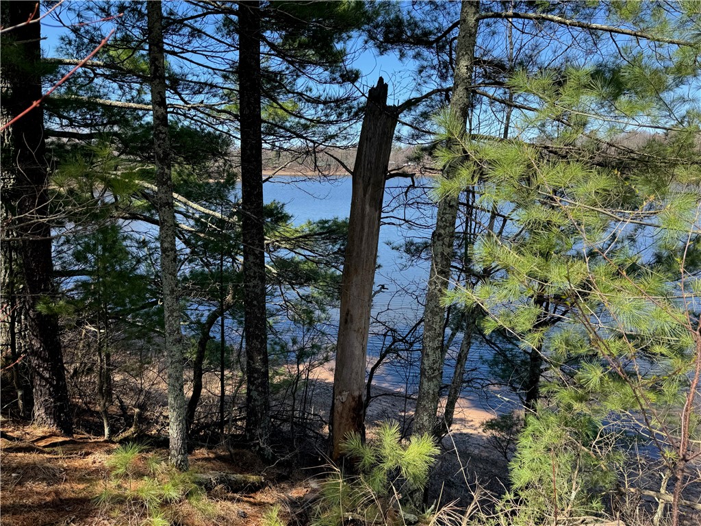 Lot 1 Gurno Lake Road Property Photo 9