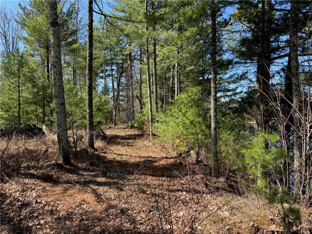 Lot 1 Gurno Lake Road Property Photo 15