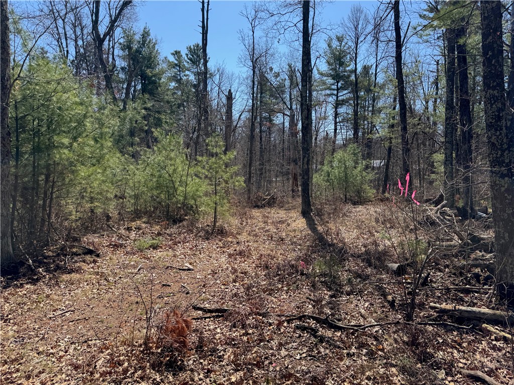 Lot 1 Gurno Lake Road Property Photo 16
