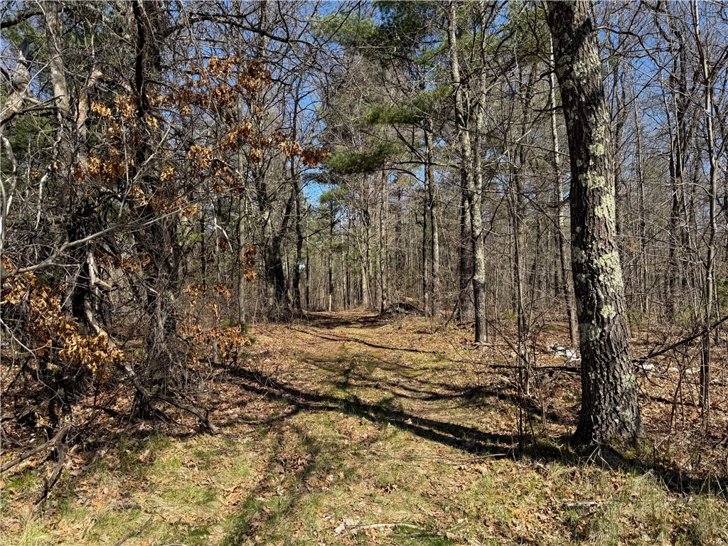 Lot 1 Gurno Lake Road Property Photo 18