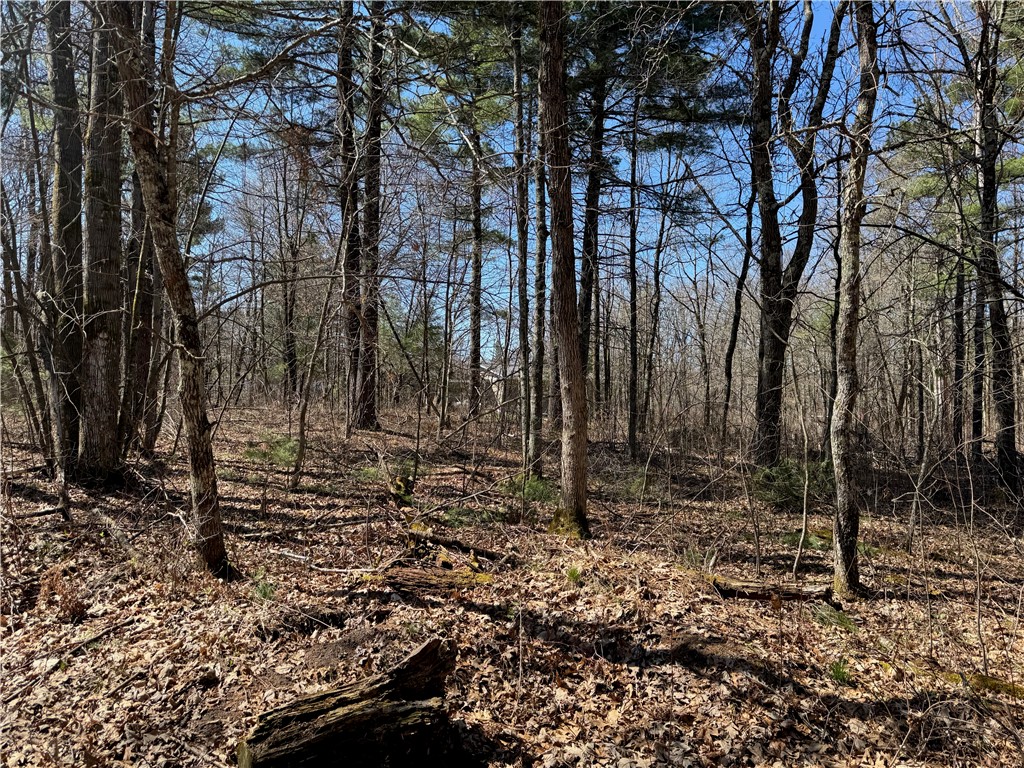 Lot 1 Gurno Lake Road Property Photo 19