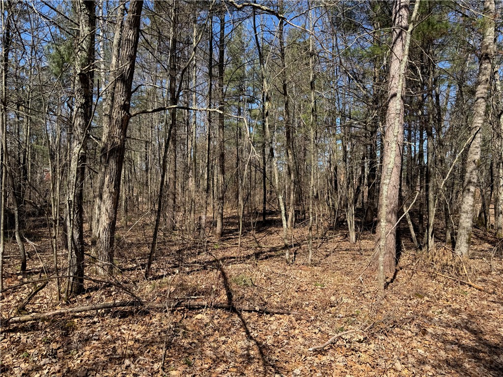 Lot 1 Gurno Lake Road Property Photo 20