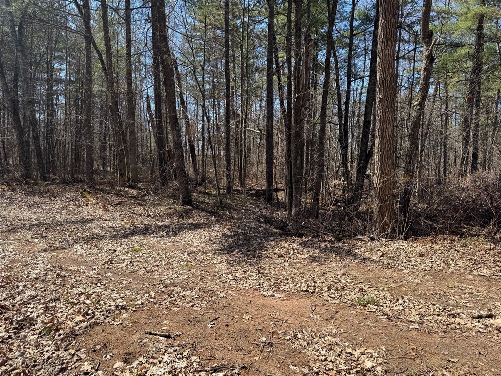Lot 1 Gurno Lake Road Property Photo 21