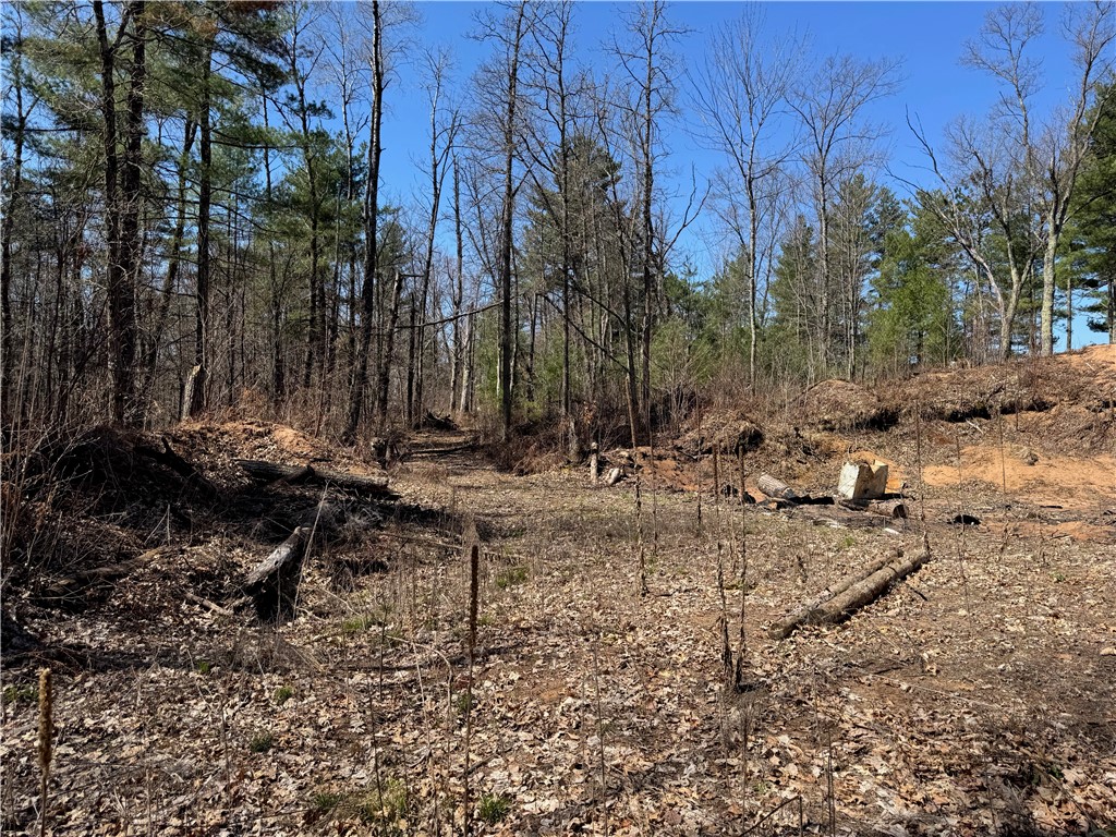 Lot 1 Gurno Lake Road Property Photo 22