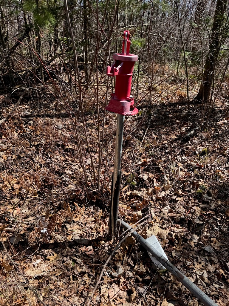 Lot 1 Gurno Lake Road Property Photo 24