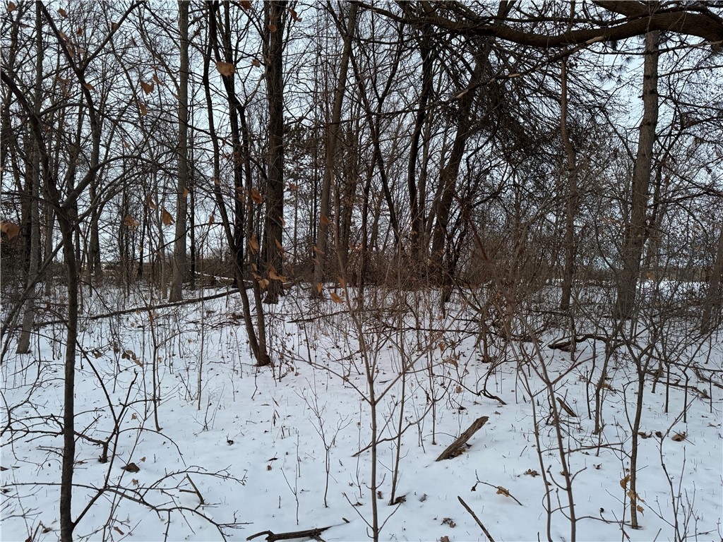 0 E Birch Avenue Property Photo