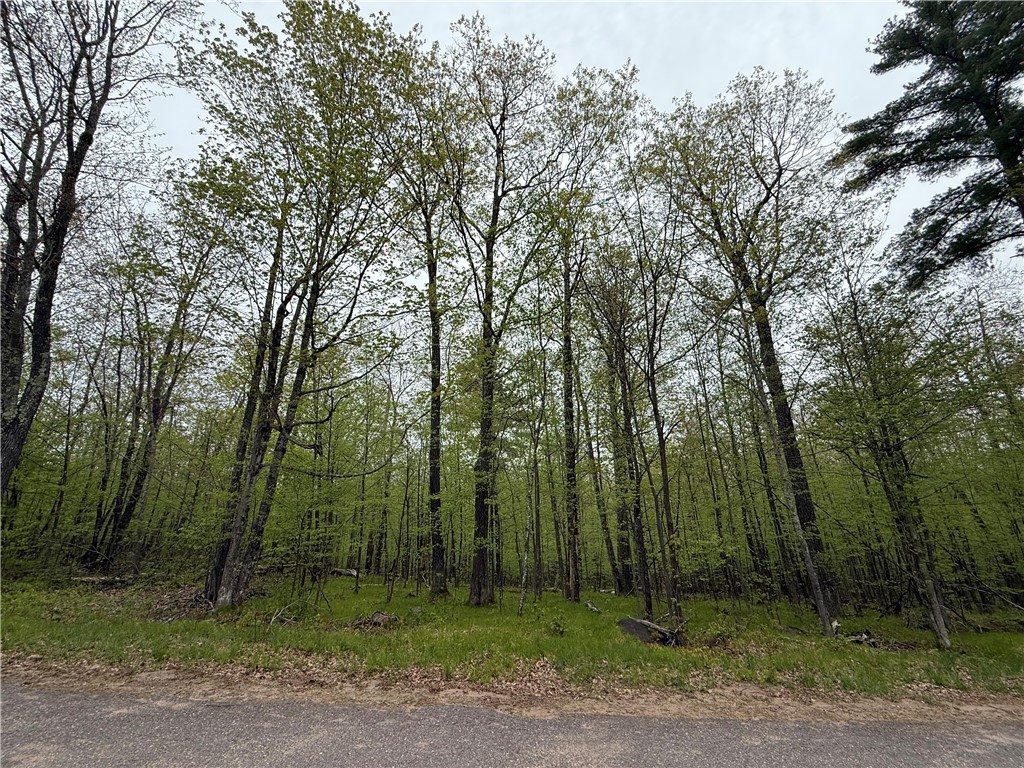 Lot 35 Woodcrest Drive Property Photo 1