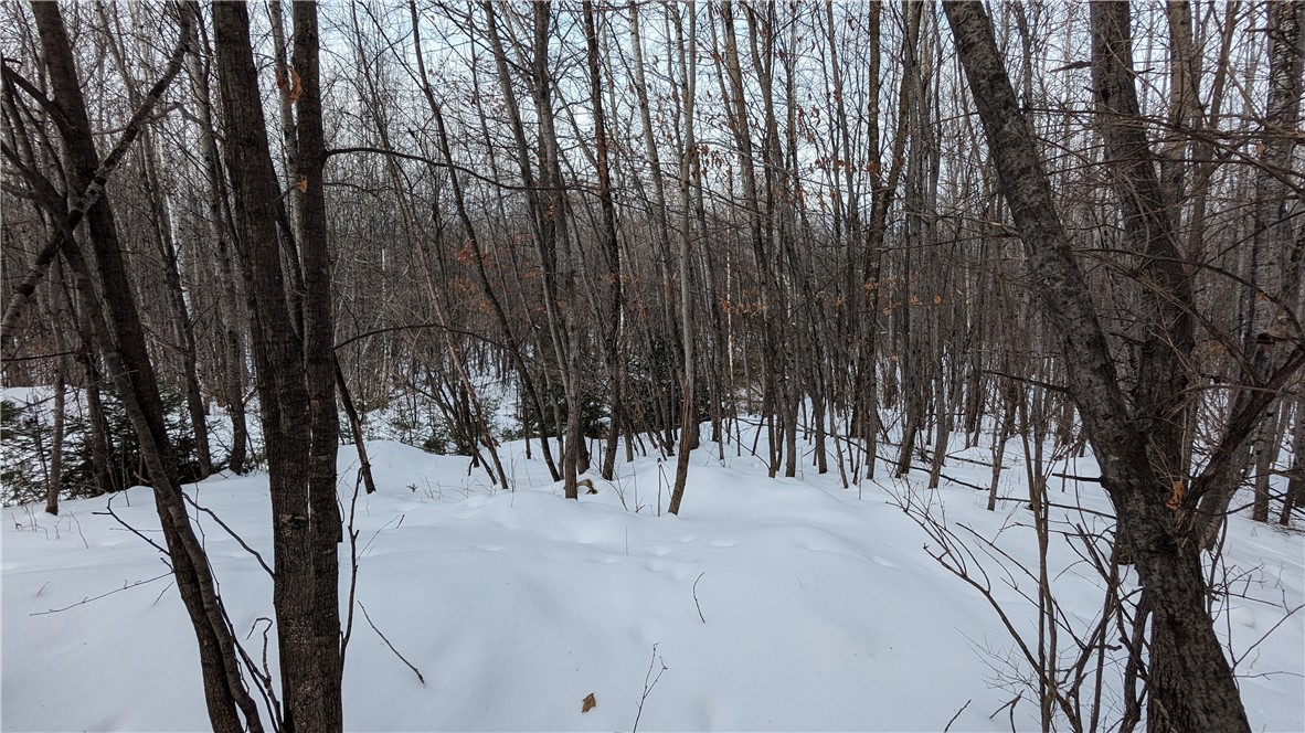 Lot 0 N County Highway W Property Photo 5