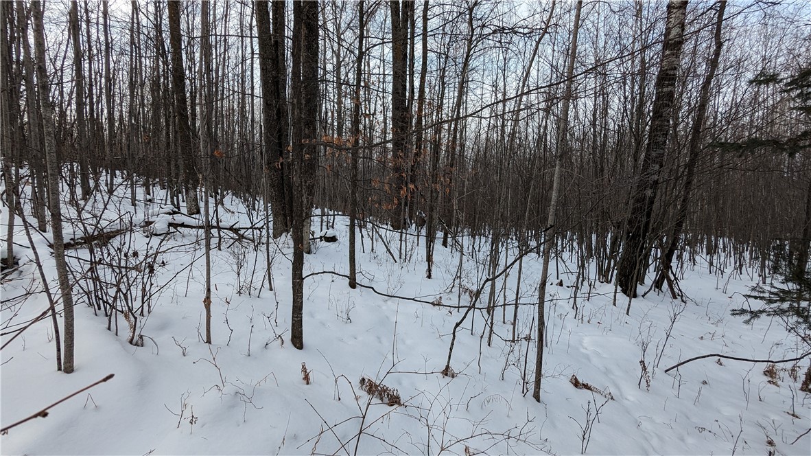 Lot 0 N County Highway W Property Photo 6