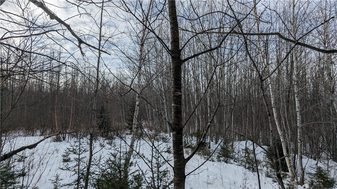Lot 0 N County Highway W Property Photo 7