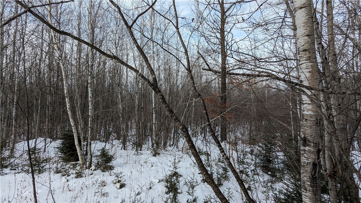 Lot 0 N County Highway W Property Photo 10