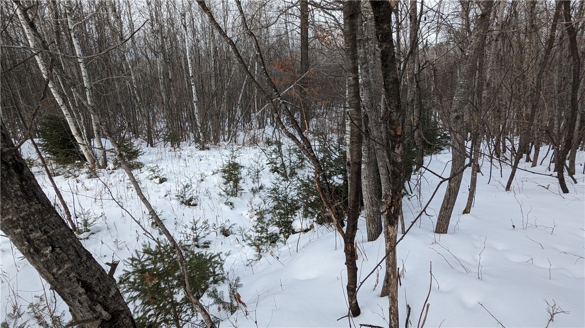Lot 0 N County Highway W Property Photo 11