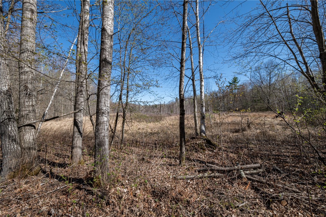 W268 County Hwy A Property Photo 38