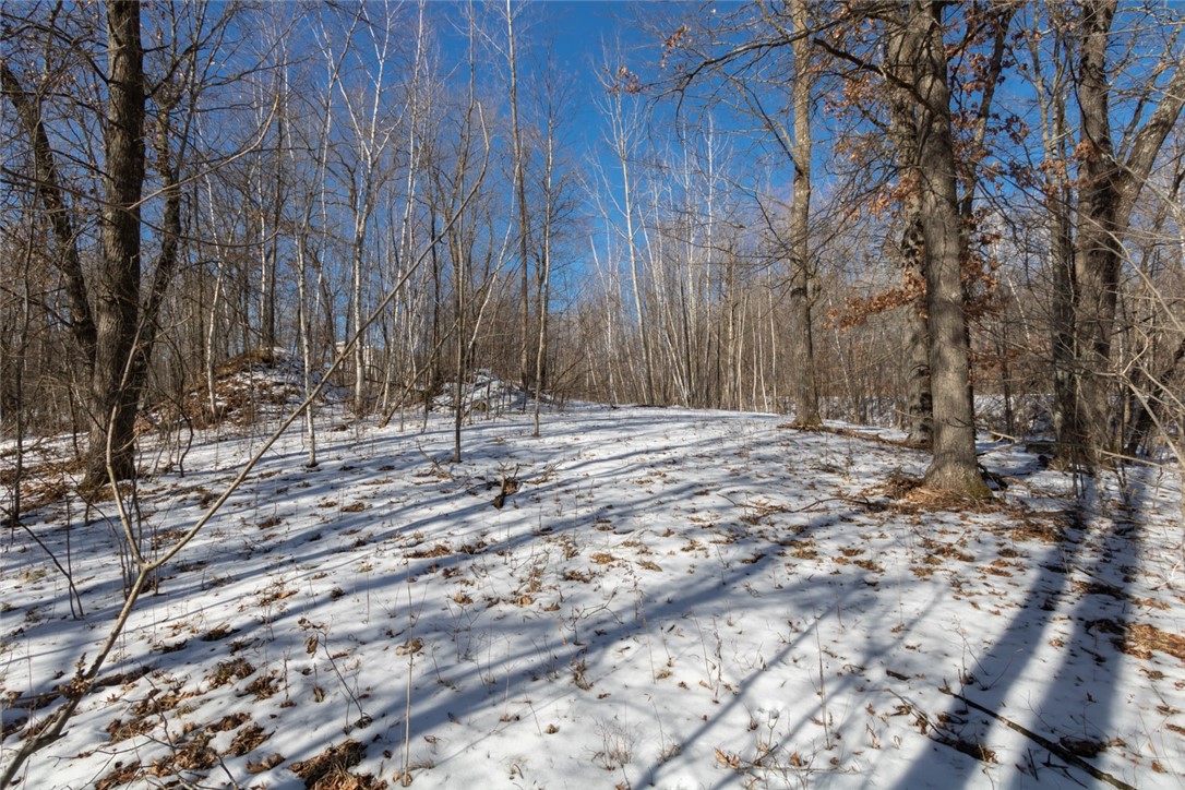 Lot 12 133rd Street Property Photo