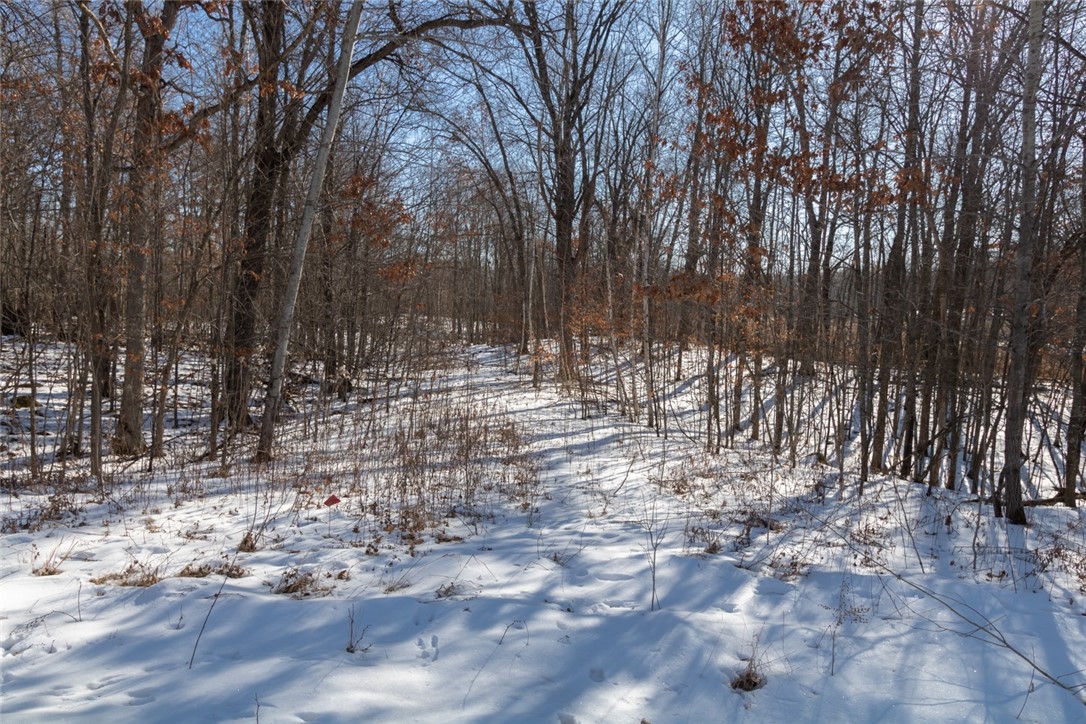 Lot 13 133rd Street Property Photo