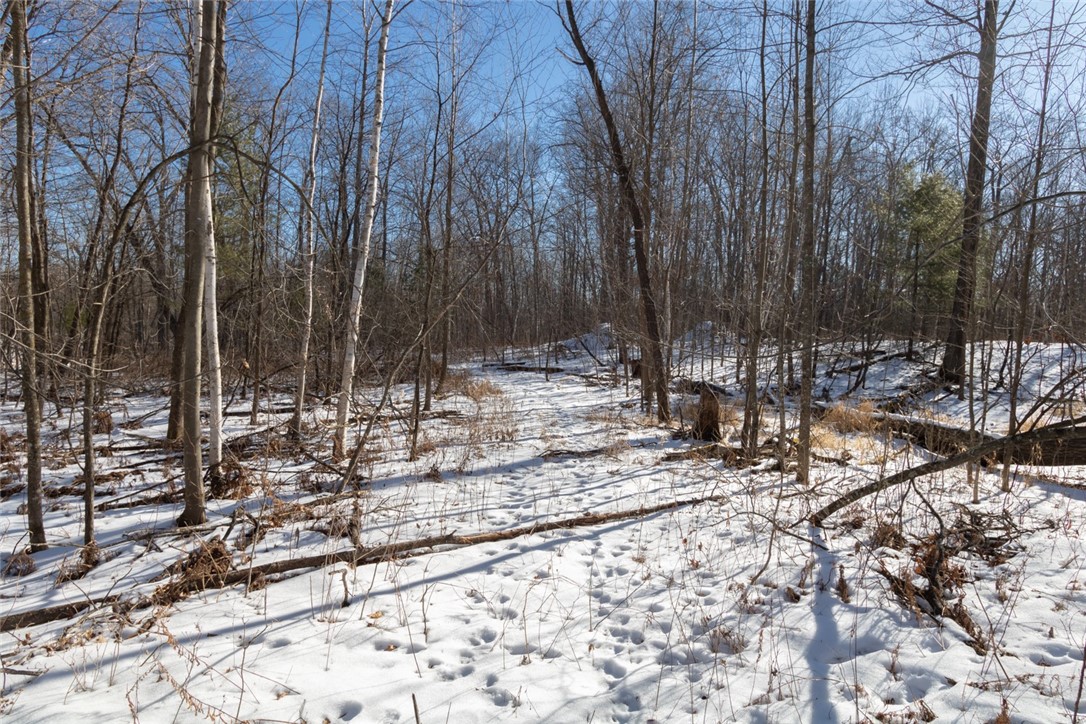 Lot 15 133rd Street Property Photo