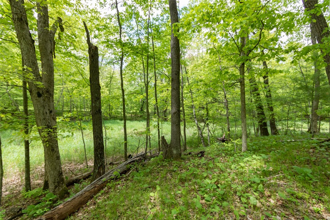 Lot 15 133rd Street Property Photo 1