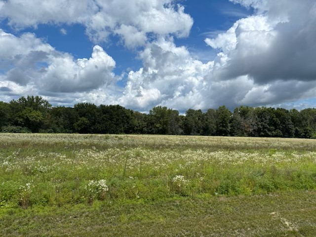 Lot 1 Blackstone Trail Property Photo 1