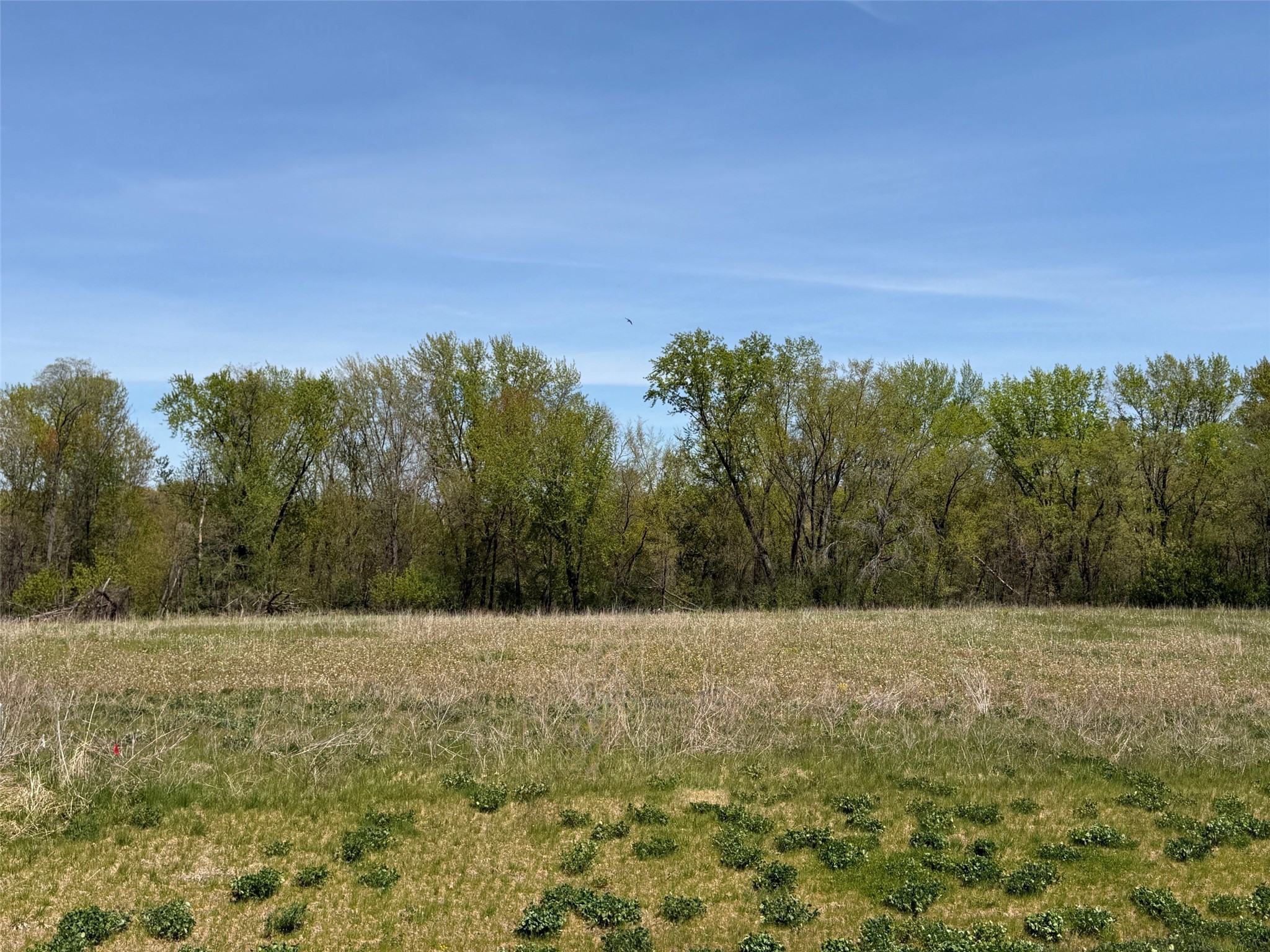 Lot 1 Blackstone Trail Property Photo 2