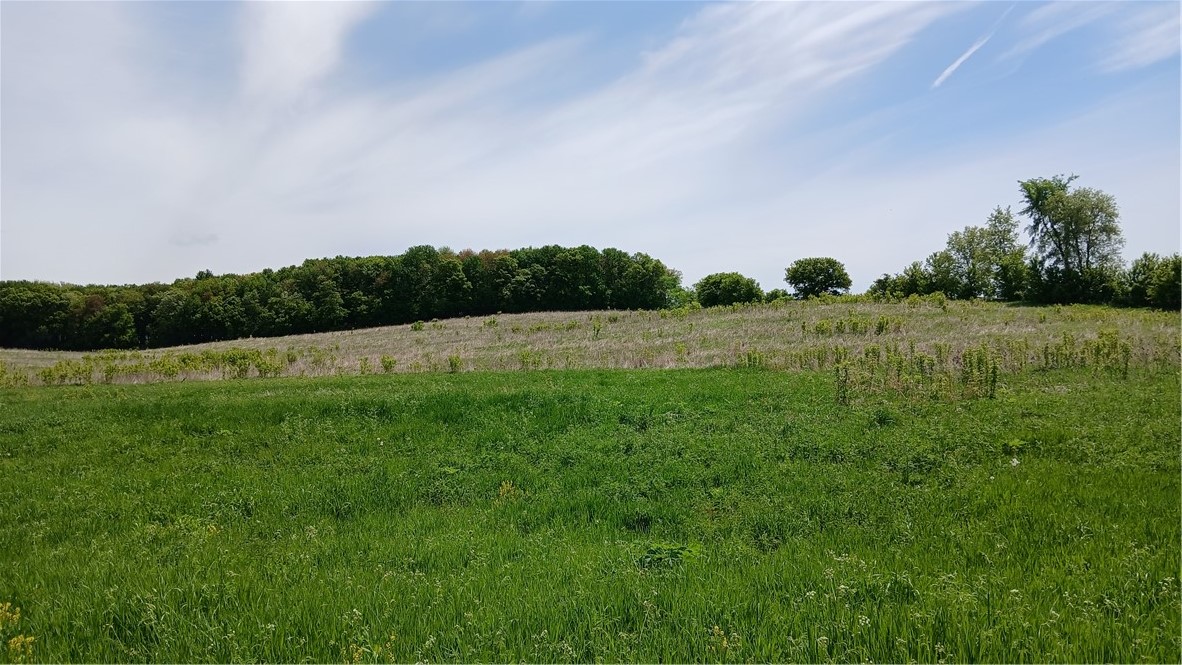 22 Acres 82nd St Property Photo 1