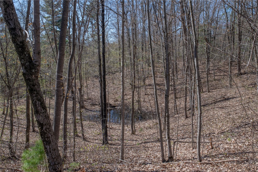 15035w Goss Road Property Photo 30