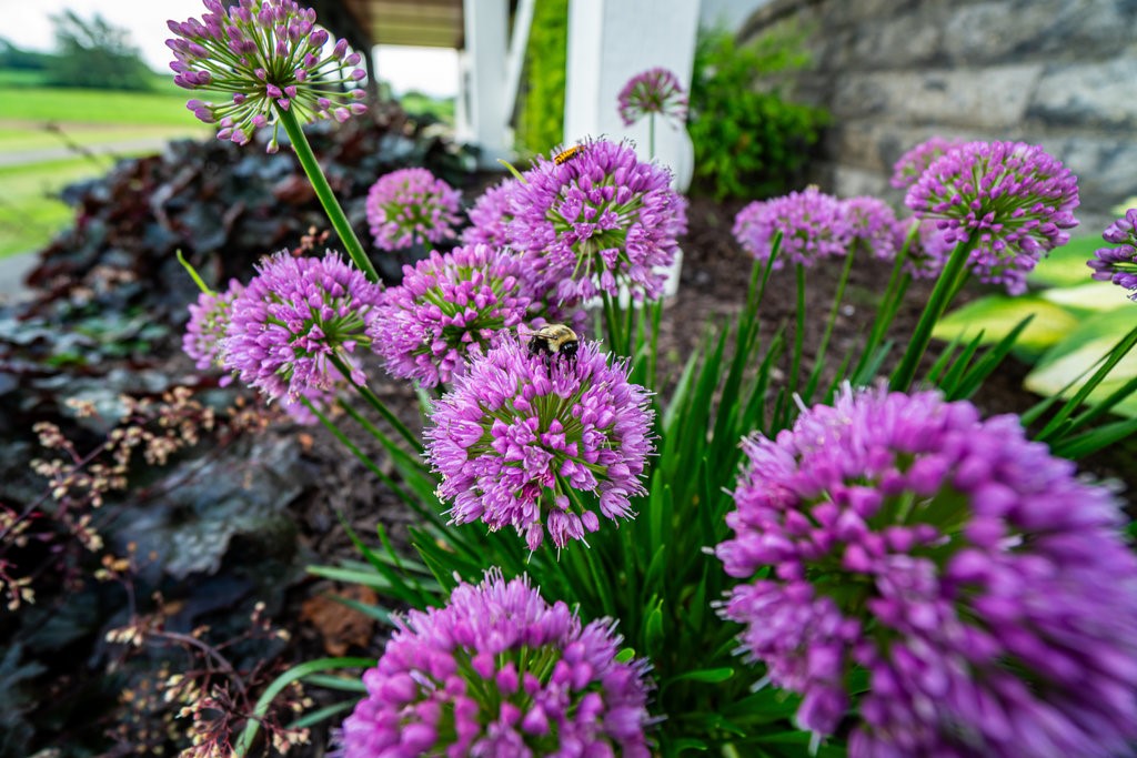 N7900 County Road J Property Photo 38