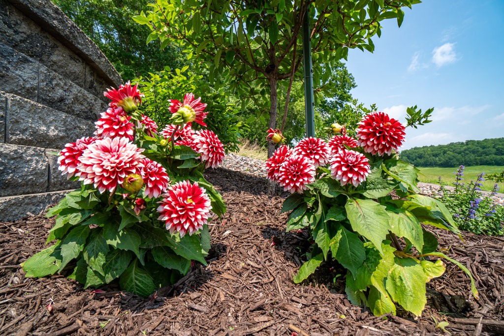 N7900 County Road J Property Photo 42