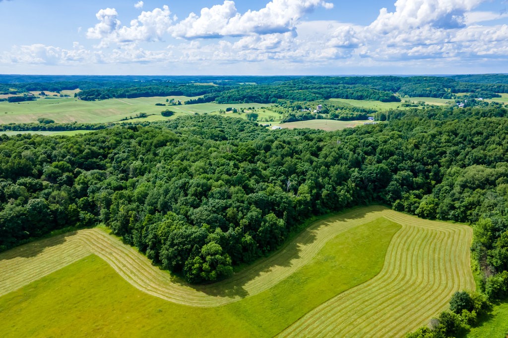 N7900 County Road J Property Photo 45