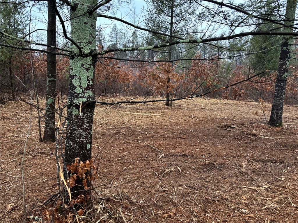 Lot 1 Olson Drive Property Photo